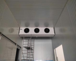 ĐƠN VỊ THIẾT KẾ & THI CÔNG KHO ĐÔNG GIÁ RẺ TẠI TP.HCM VÀ KHU VỰC MIỀN NAM