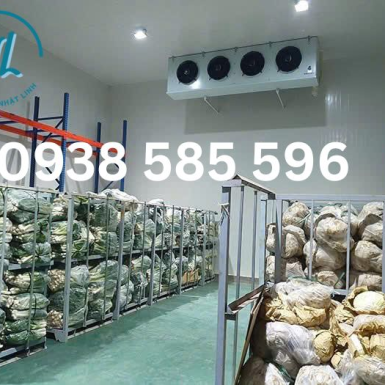 LẮP ĐẶT KHO LẠNH BẢO QUẢN RAU CỦ TẠI ĐỒNG NAI