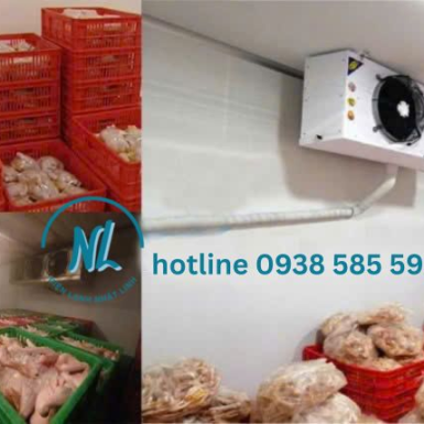 lắp đặt kho đông trữ thực phẩm đông lạnh giá tốt tại đồng nai