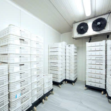 LẮP ĐẶT KHO MÁT BẢO QUẢN RAU CỦ TẠI TP.HCM