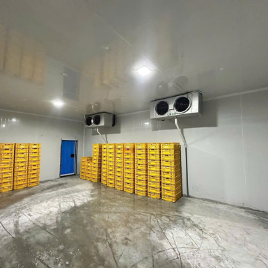 LẮP ĐẶT KHO LẠNH BẢO QUẢN NÔNG SẢN GIÁ RẺ TẠI TP.HCM