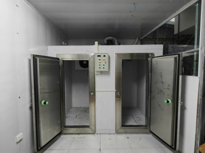 THI CÔNG KHO ĐÔNG