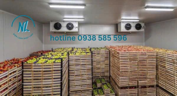 thi công kho lạnh trữ thực phẩm tươi giá ưu đãi tại đồng nai