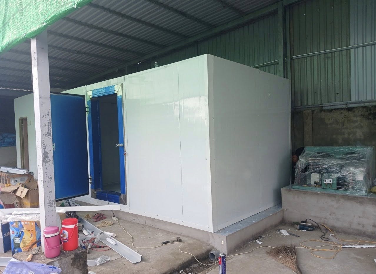LẮP ĐẶT KHO ĐÔNG MINI TẠI TP.HCM
