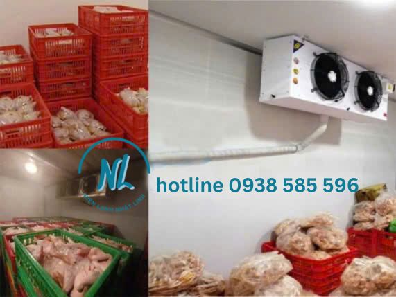 lắp đặt kho đông trữ thực phẩm đông lạnh giá tốt tại đồng nai