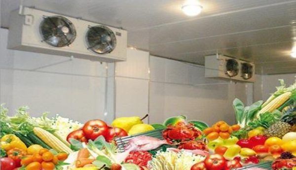 LẮP ĐẶT KHO MÁT BẢO QUẢN RAU CỦ TẠI TP.HCM
