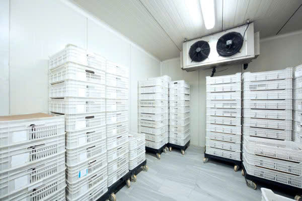 LẮP ĐẶT KHO LẠNH BẢO QUẢN NÔNG SẢN GIÁ RẺ TẠI TP.HCM