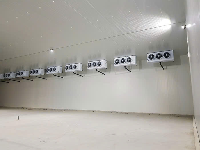 ĐƠN VỊ THIẾT KẾ & THI CÔNG KHO ĐÔNG CHUYÊN NGHIỆP KHU VỰC MIỀN NAM