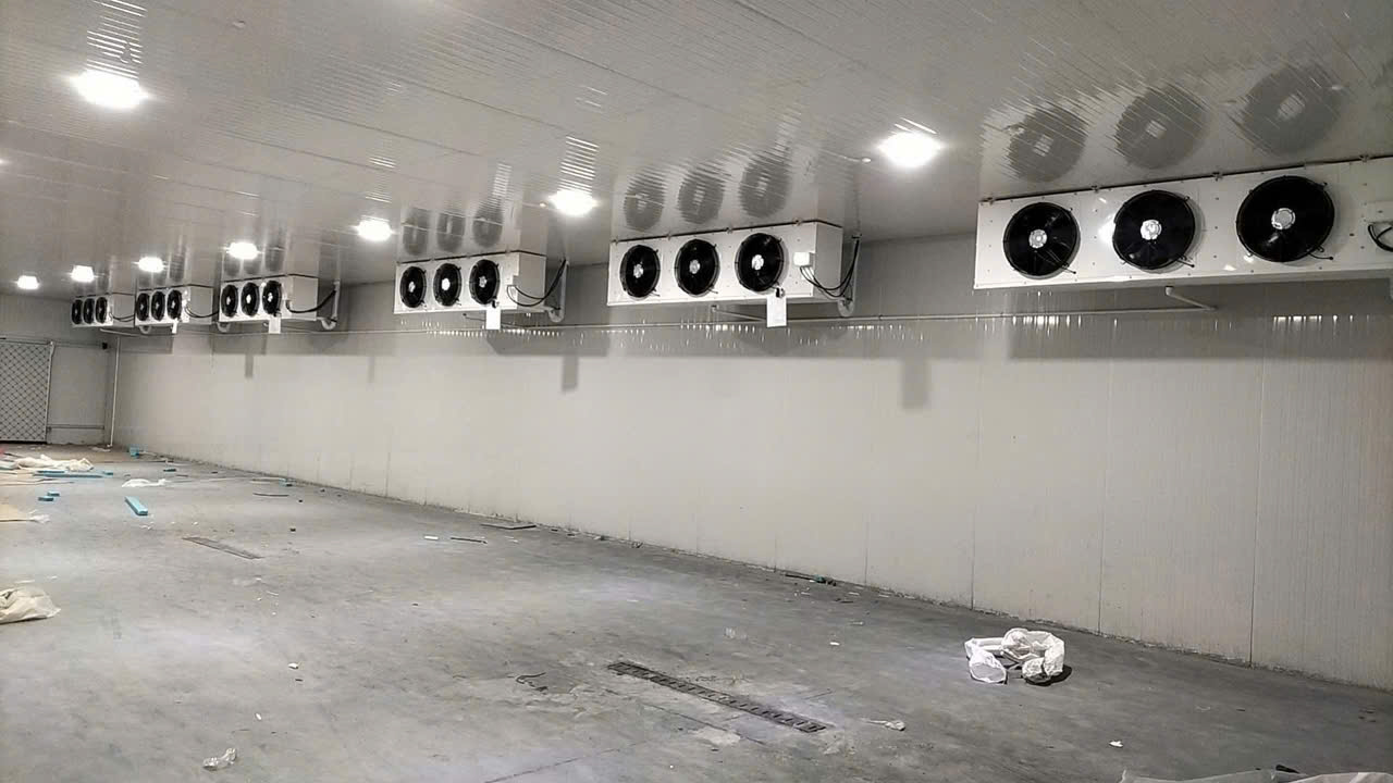 THI CÔNG KHO ĐÔNG LẠNH CHO NHÀ MÁY, XÍ NGHIỆP GIÁ CẠNH TRANH TẠI TP.HCM