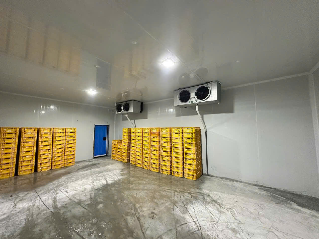 LẮP ĐẶT KHO LẠNH BẢO QUẢN NÔNG SẢN GIÁ RẺ TẠI TP.HCM