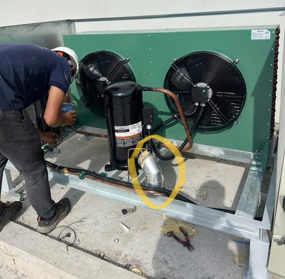 BÁO GIÁ VÀ LẮP ĐẶT TRỌN GÓI KHO ĐÔNG LẠNH TẠI ĐỒNG NAI VÀ CÁC TỈNH LÂN CẬN