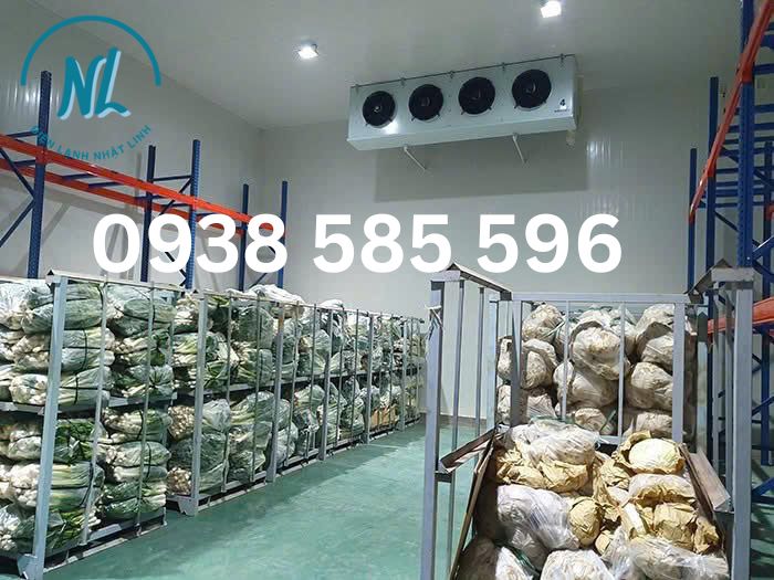 LẮP ĐẶT KHO LẠNH BẢO QUẢN RAU CỦ TẠI ĐỒNG NAI