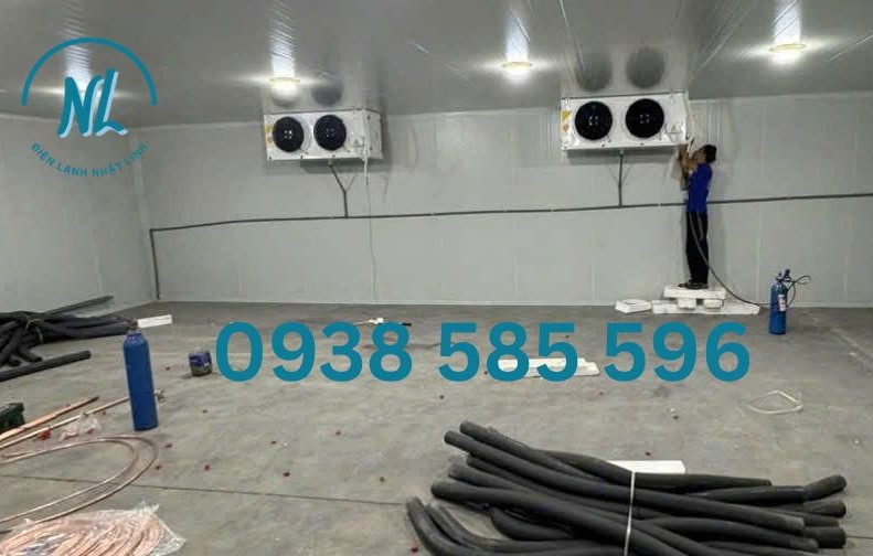 Lắp đặt kho đông hai dàn lạnh hai nhiệt độ chi phí thấp tại Đồng Nai